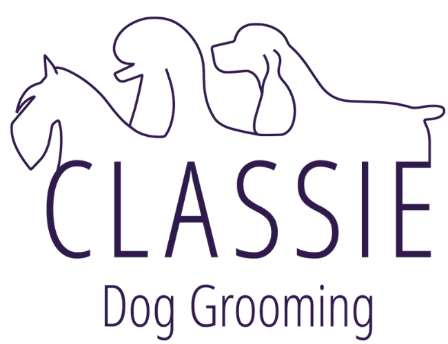 Banded comb shop dog grooming